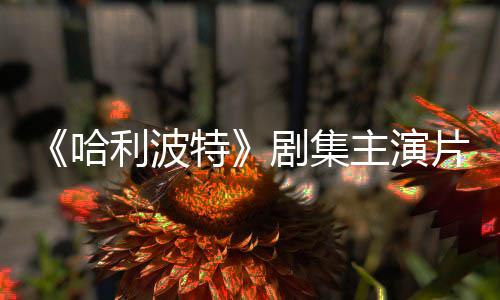 百万第利波特主演片酬曝光二季富翁哈剧集就成