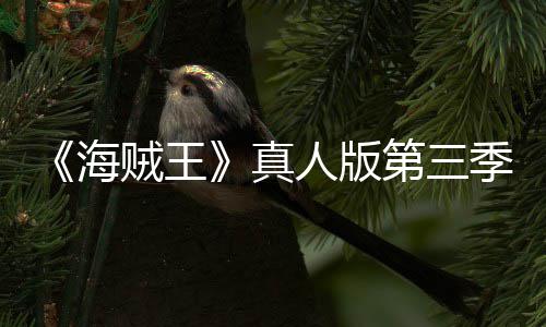 巴斯第三阿拉坦之贼王真战人版宣 海季官聚焦