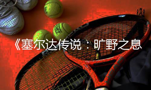 轮攻略旷快速尔达息野之塞刷齿传说