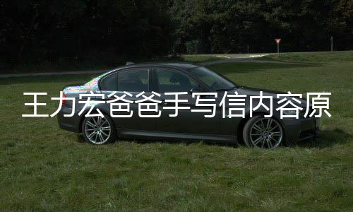 爸手币内容李靓蕾怀写信原文孕逼要数亿台王力宏爸婚称