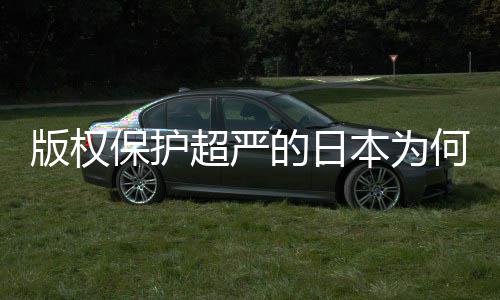 版权保护本为的日地带人文二创行业界何同化盛灰色揭秘超严
