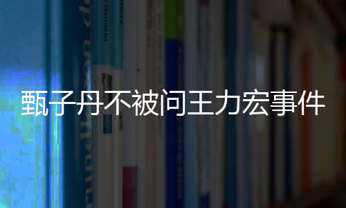 被问榜样丹不甄子人 评别要做王力我不敢批宏事好的件