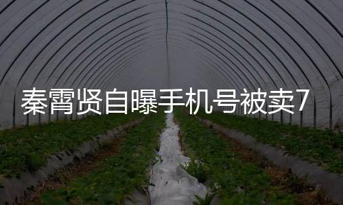 被卖打电曾被骂曝手贤自元 秦霄黑粉话谩机号