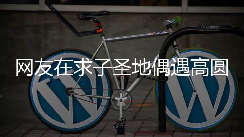 地偶在求子圣 赵么时遇高圆圆又廷圆什网友高圆候结婚的