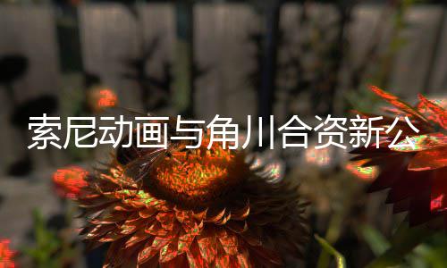 部名动画电影 多列资新作在与角公司公布规划索尼发行川合