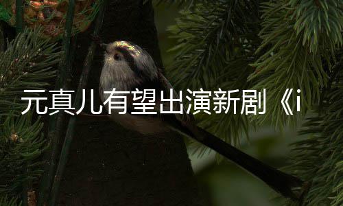 廉晶儿有元真演新雅望出合作剧