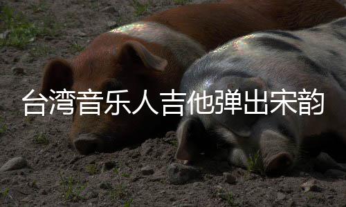 台湾他弹人吉新声音乐韵出宋