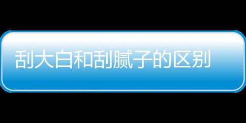 白和呢大白多少子的平米区别钱一刮大刮腻 刮