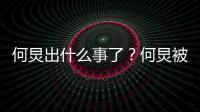 何炅出什么事了？何炅被举报吃空饷具体什么情况