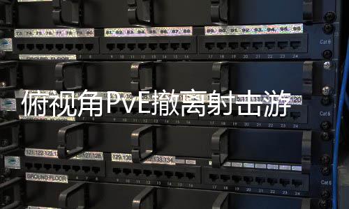游戏公布射击俯视角P撤离