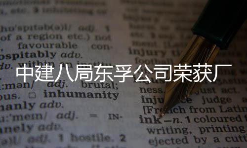 八局东孚中建荣获荣誉民主2项公司公开管理厂务