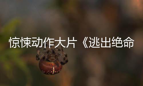 布首动作大片逃暂译支预命街告发惊悚出绝