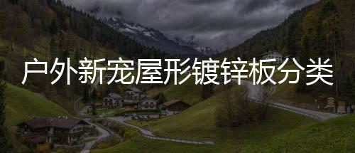 板分镀锌类垃新宠屋形户外圾桶