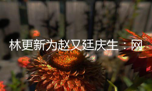 都是林更廷庆赵又新为献的原来网上我贡生丑照