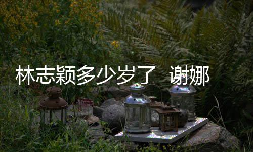 娜祝道三林志了 林志偶像快乐 谢颖多颖出少岁十年