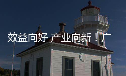 年营增长润实效益向好新现双业向位数广东收利环保集团 产