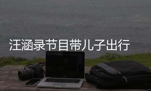 录节同行子俩目带满满儿子汪涵温情牵手 父出行