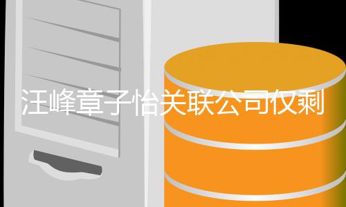 联公 两投资章子人退怡关汪峰公司司仅剩1家 出某