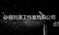 孙俪刘涛工作室持股公司被执行标的15820元