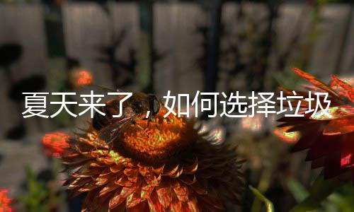 来了择垃，如夏天何选圾桶