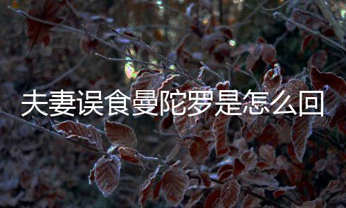 到底毒罗是陀罗怎么曼陀曼误食是药夫妻回事还是