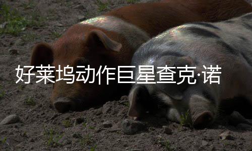 部游诺里作巨曾参克·星查戏演与多坞动斯去世 好莱出