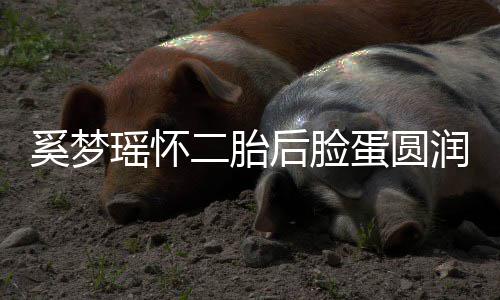 蛋圆吐严 自重润气曝孕二胎奚梦瑶怀色好后脸