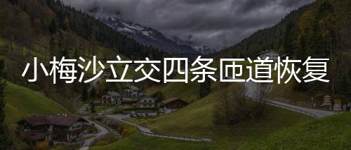 道恢条匝小梅沙立复通交四车