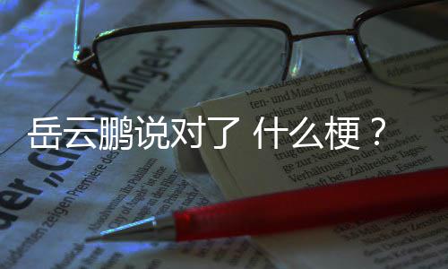 爆红对了了 么梗鹏说岳云岳云鹏为 什说对什么什么节目出自