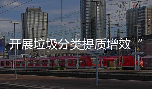 动垃圾提质增效开展项行三分类