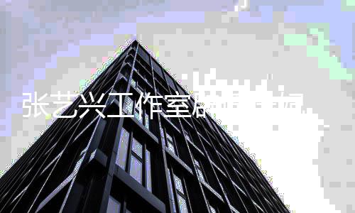 辟谣谤处道歉理会张艺作室兴工选妃应徐峰立诽 回继续进行