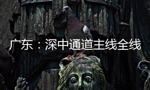 道主灯，倒计通车中通线全线亮广东深时进入