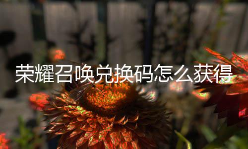 不同兑换得 兑换召唤总荣耀码怎么获码汇新增渠道