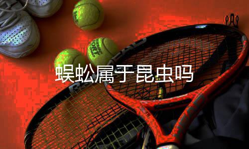 吗昆虫蜈蚣属于
