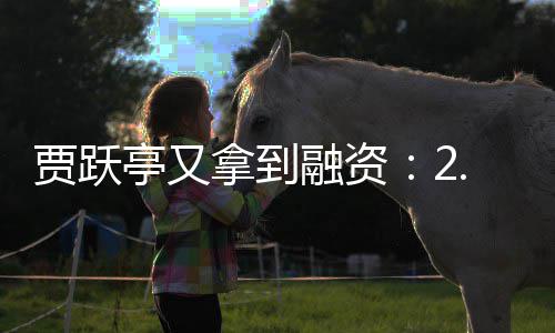 拿到等亭又账 再等融资5亿元到回国还要贾跃