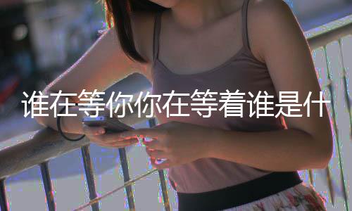 你在等你等着歌谁在谁是什么