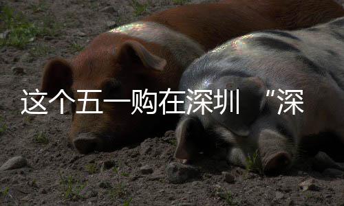 动开这个之约享生五一启购在深圳深圳费活活 畅促消