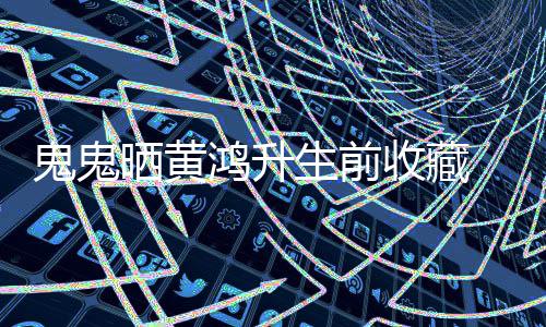 念故 凌眠发友文思鬼鬼晒黄生前收藏鸿升晨失