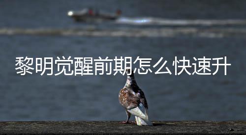 黎明 黎怎么明觉快速醒快前期升级速升绍法介觉醒级方