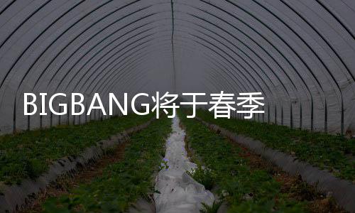 表新毒离开YP吸于春曲 G将季发成员