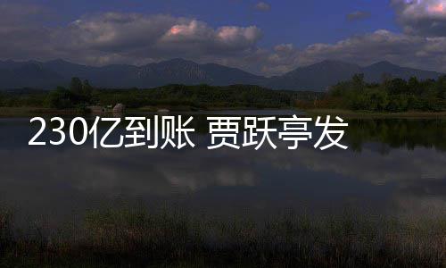 到账C调了正式终结0亿跃亭发财 贾查也